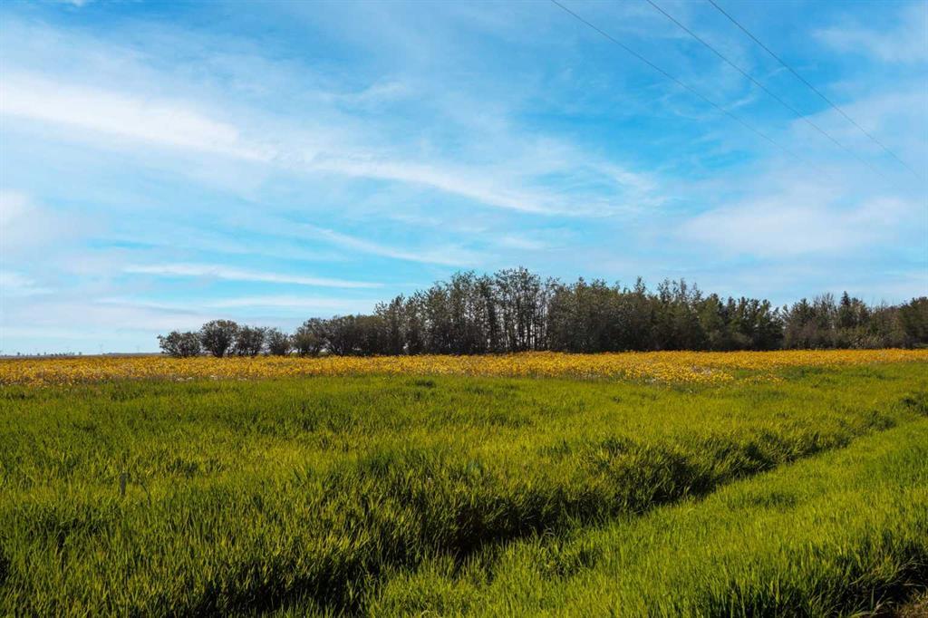 Photo of Listing #A2264806