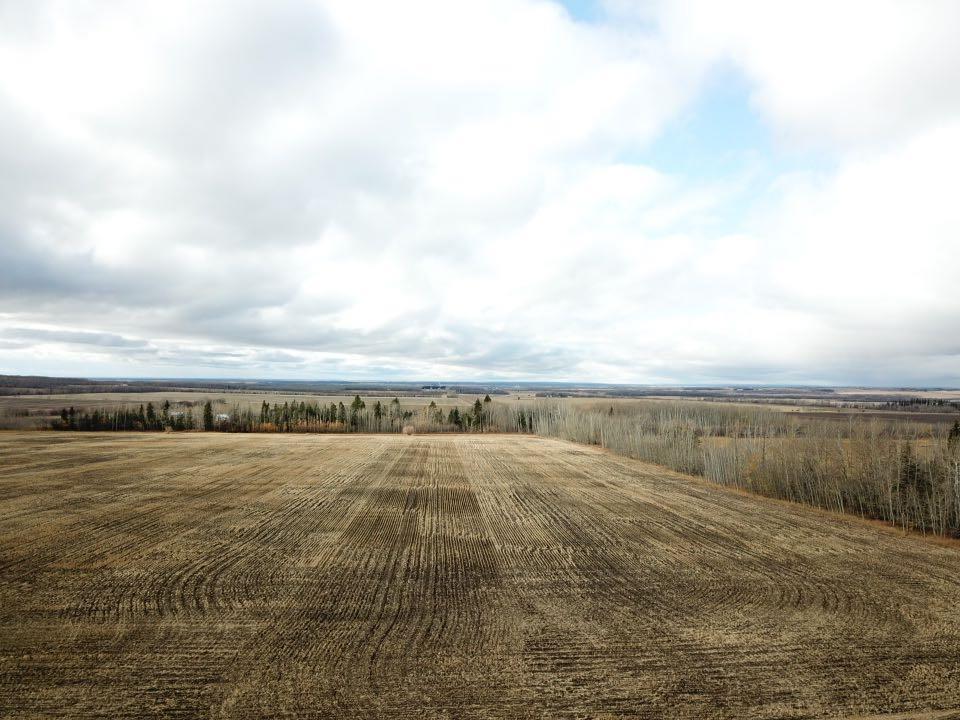 Photo of Listing #A2265280