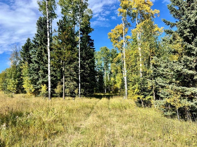 5 Ridgeland Road, Rural Clearwater County