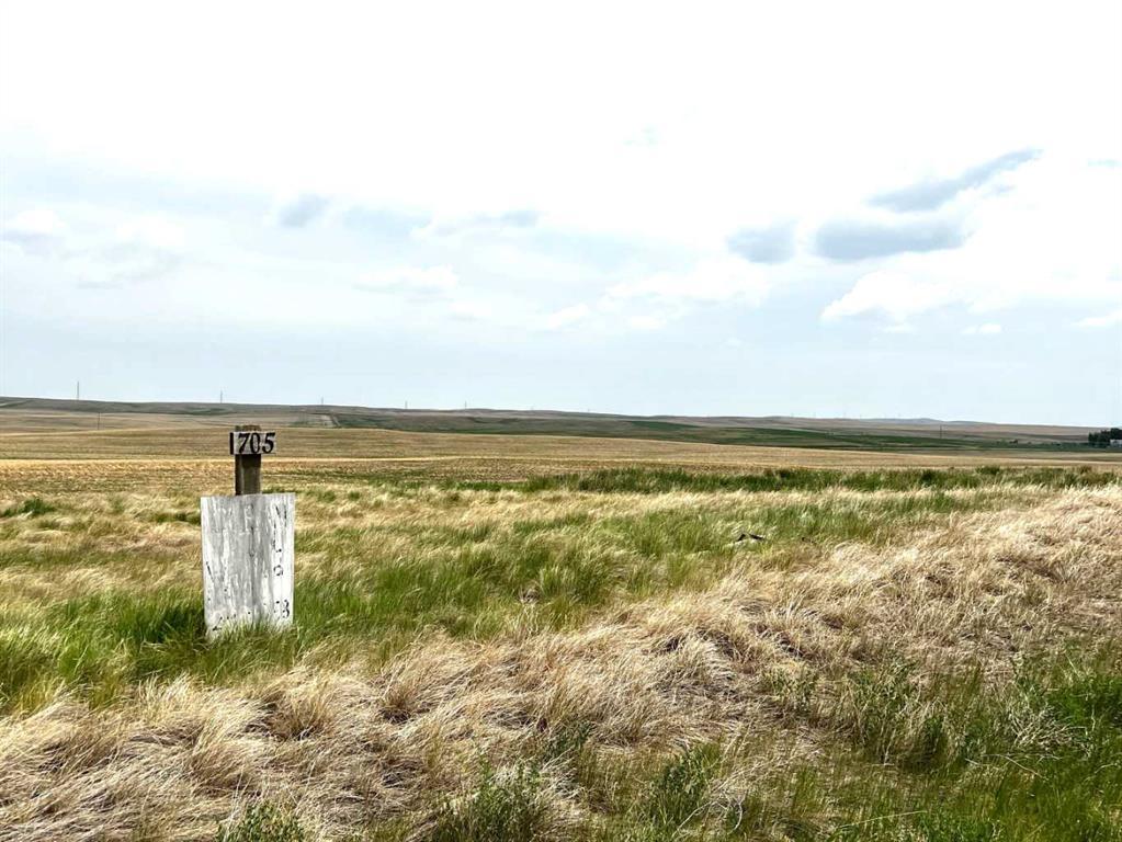 Photo of Listing #A2266179