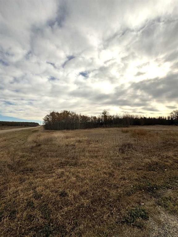 1, 15015 Township Road 424 Township, Rural Ponoka County