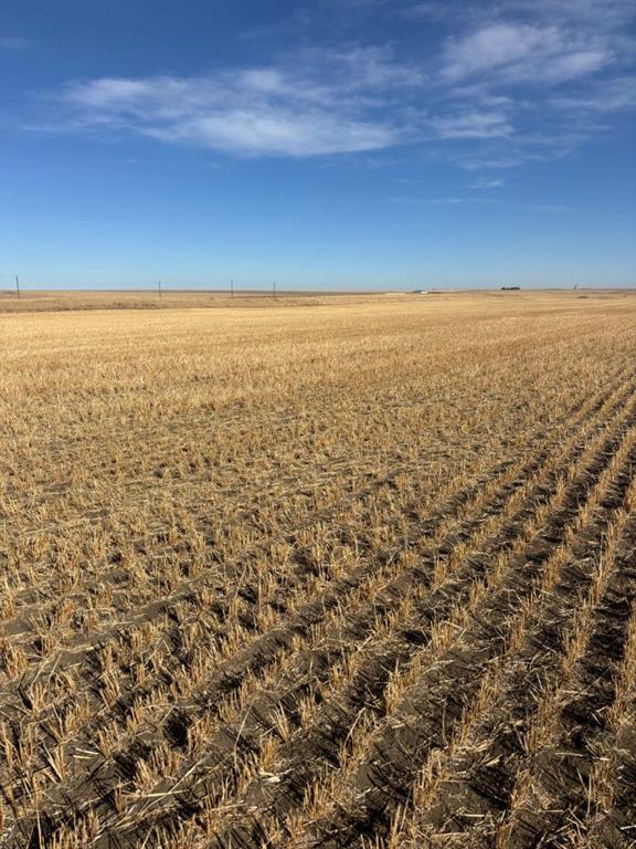 Photo of Listing #A2266529