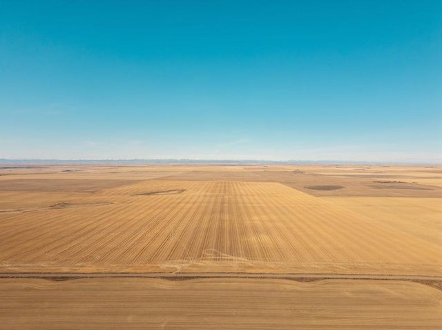 Se 8 15 24 W4, Champion