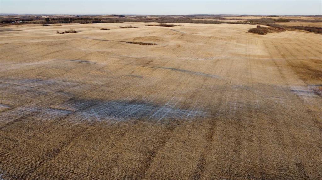 Photo of Listing #A2270644