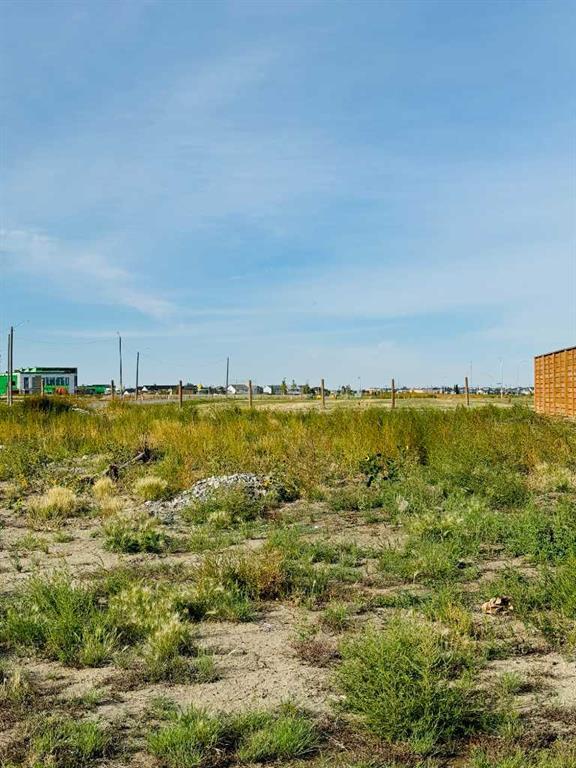 1409 Halifax Road W, Lethbridge