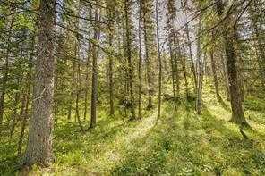 9 Burney Road, Rural Rocky View County