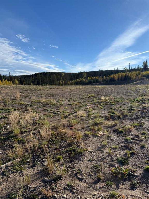 Photo of Listing #A2272148