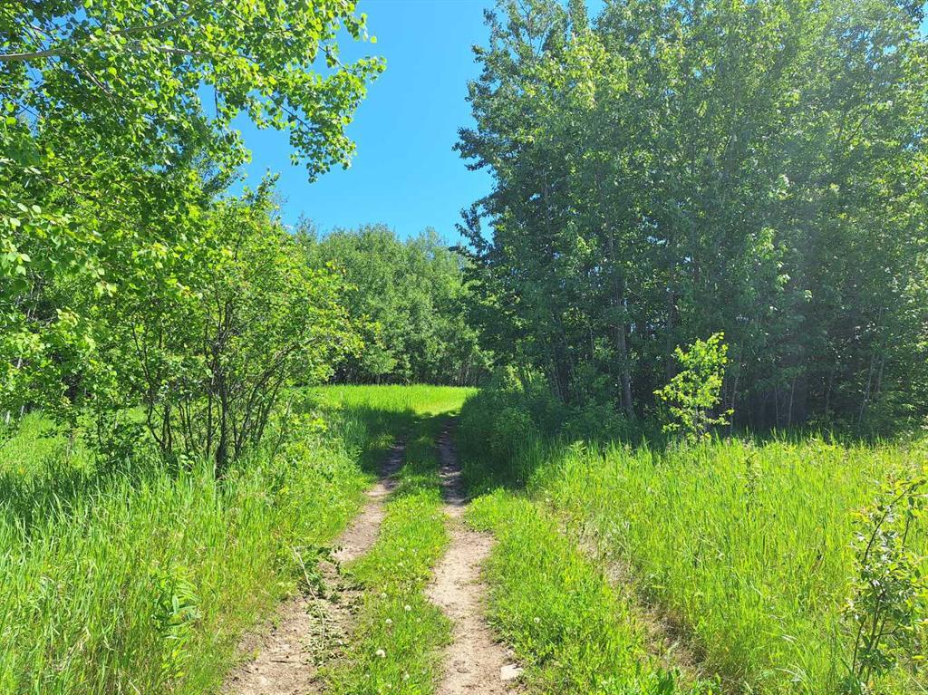 Photo of Listing #A2273377