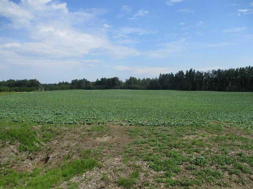 Photo of Listing #A2274203