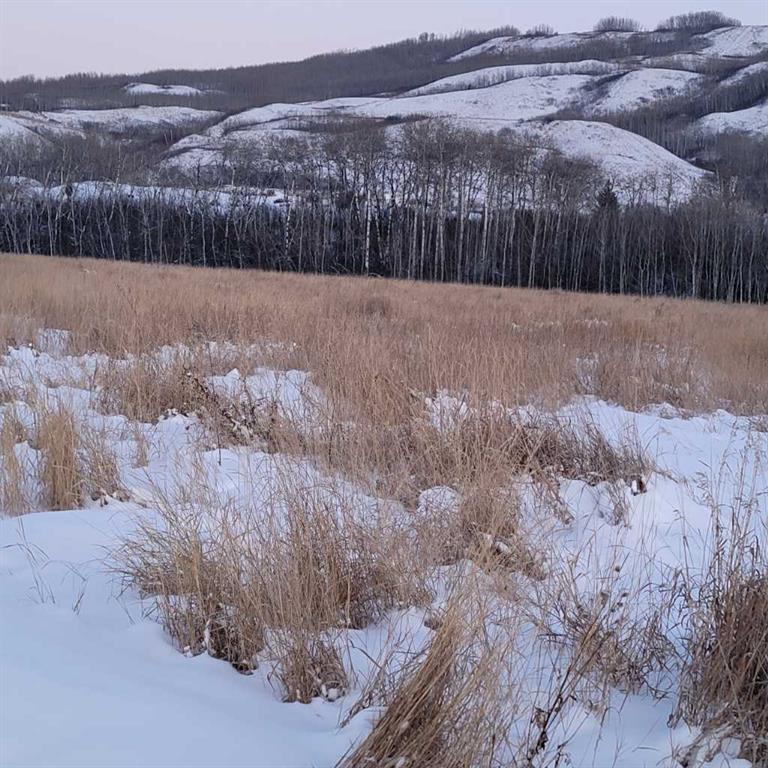 Photo of Listing #A2274640