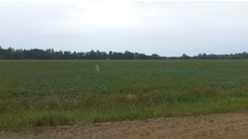 Photo of Listing #A2276021