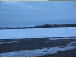 Photo of Listing #A2276085