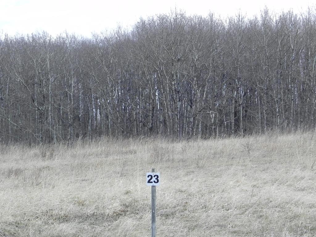 Photo of Listing #A2276866