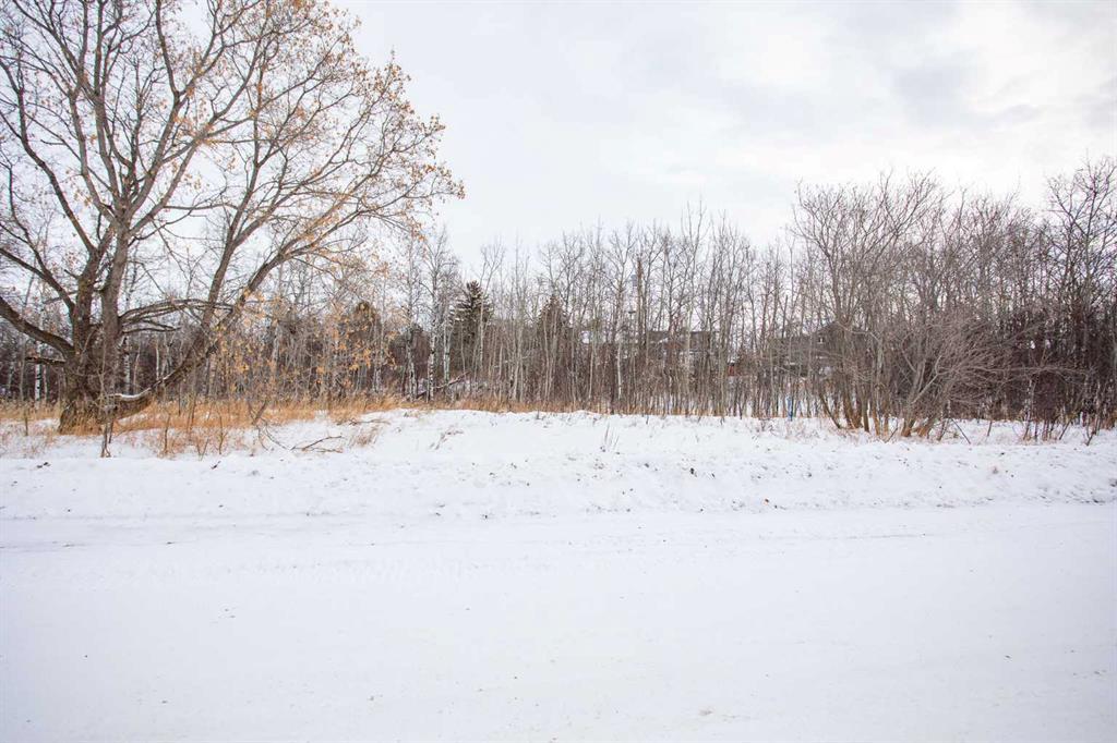 Photo of Listing #A2277854