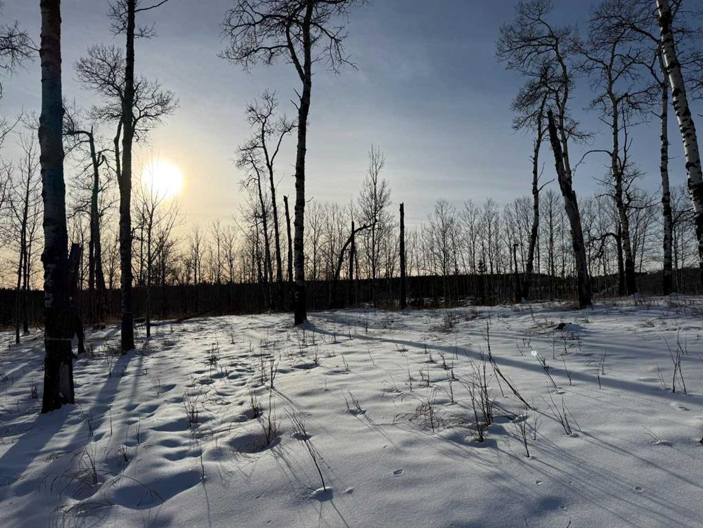 Photo of Listing #A2282234