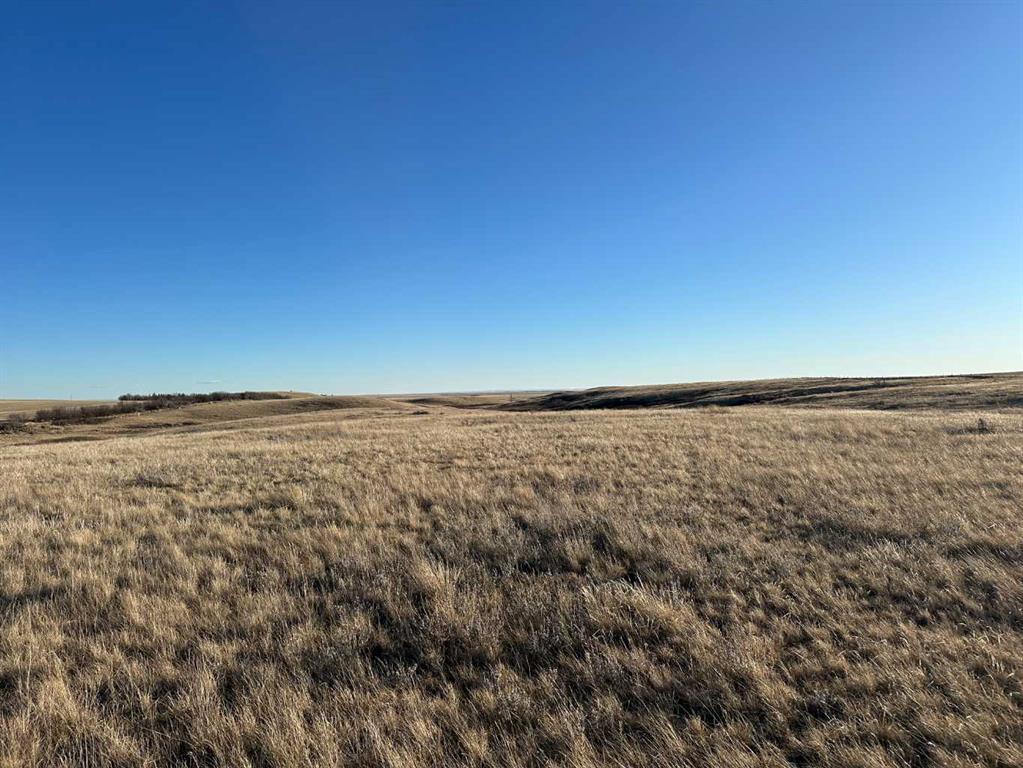 Photo of Listing #A2285394