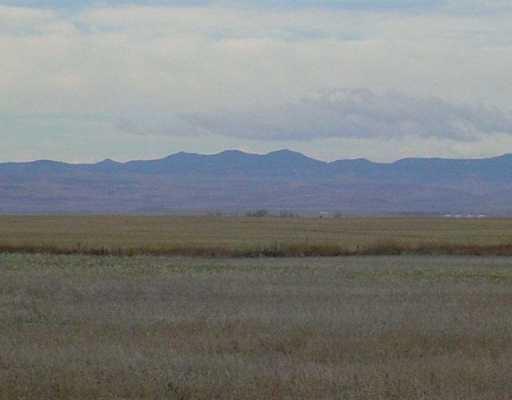 Photo of Listing #A2285604