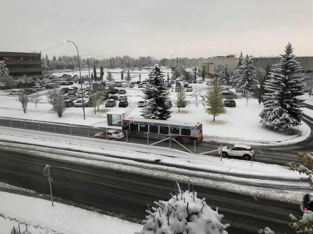 407, 3719c 49 Street Northwest, Calgary – Residential Apartment Listing Photo 21