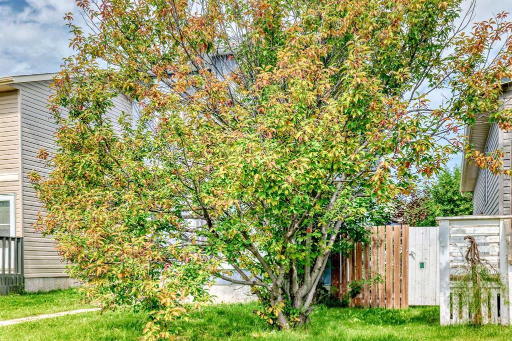 7 Martinview Crescent, Calgary – Residential Detached Listing Photo 41