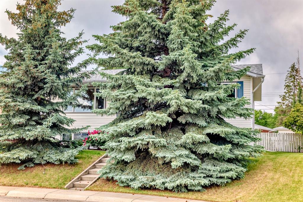 Photo of Listing #A2248385