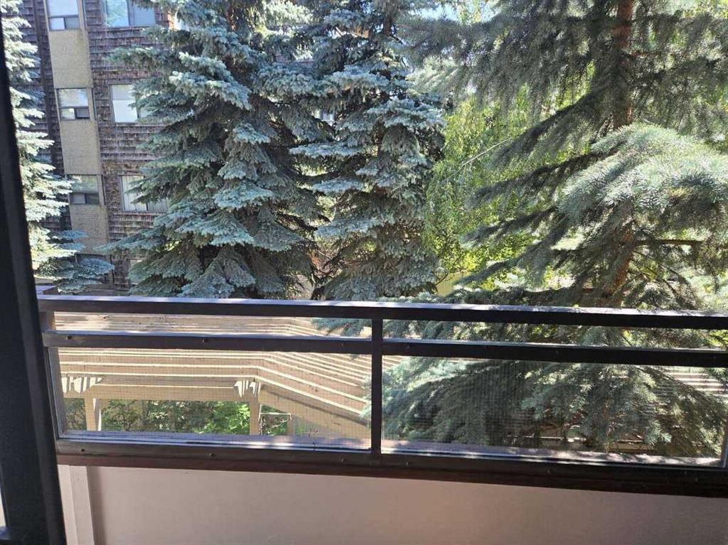 206, 3730 50 Street Northwest, Calgary – Residential Apartment Listing Photo 3