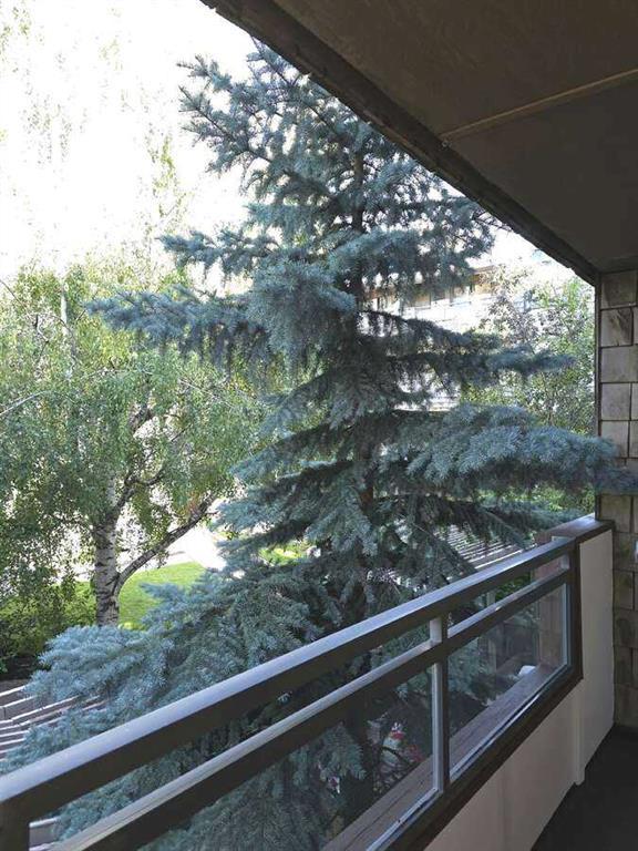 206, 3730 50 Street Northwest, Calgary – Residential Apartment Listing Photo 5