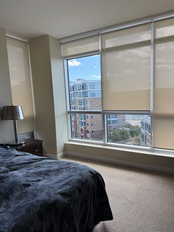 701, 16 Varsity Estates Circle Northwest, Calgary – Residential Apartment Listing Photo 11