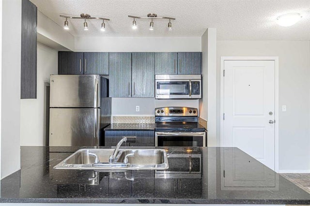 316, 5 Saddlestone Way Ne, Calgary