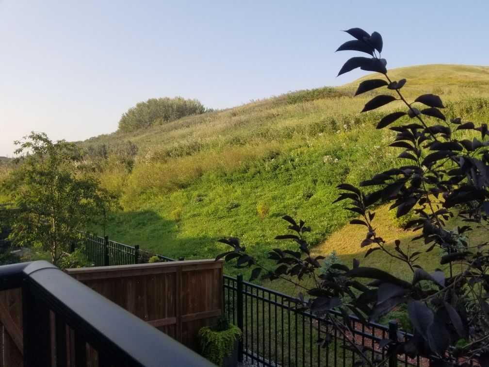 Photo of Listing #A2255107