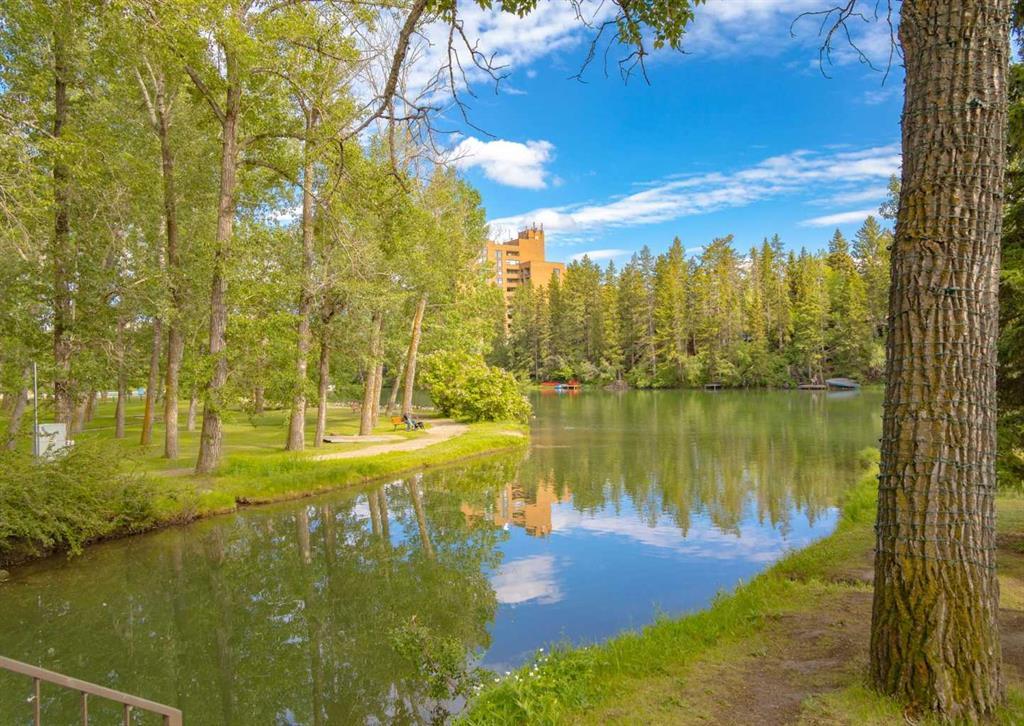 308, 8604 48 Avenue Northwest, Calgary – Residential Apartment Listing Photo 38