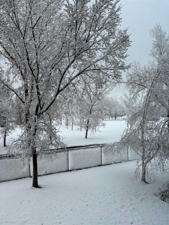 7204, 14 Hemlock Crescent Sw, Calgary