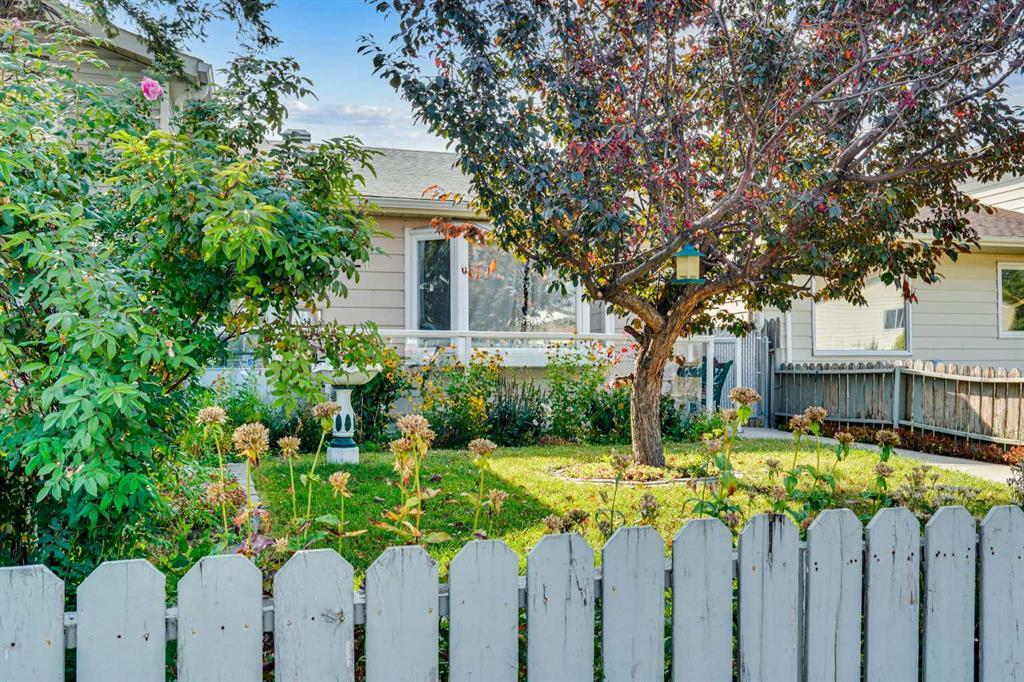 Photo of Listing #A2256736