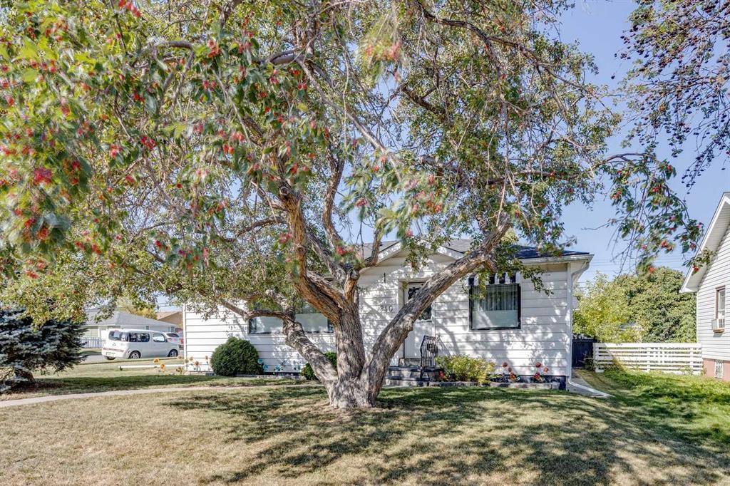 Photo of Listing #A2258614