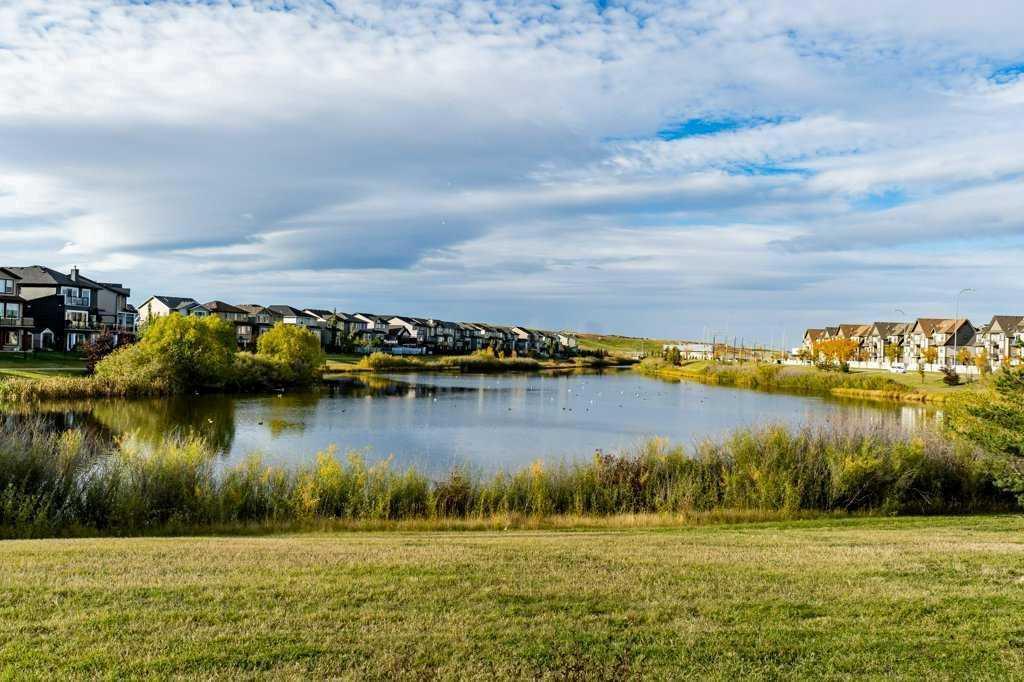 106, 6703 New Brighton Avenue Southeast, Calgary – Residential Apartment Listing Photo 28