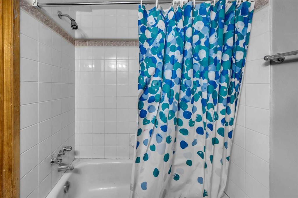 1019 Falworth Road Northeast, Calgary – Residential Detached Listing Photo 29