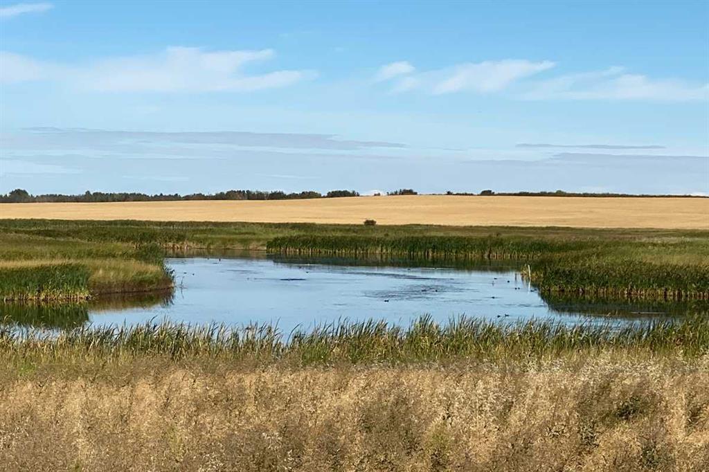 46 Belvedere Terrace Southeast, Calgary – Residential Row/Townhouse Listing Photo 44