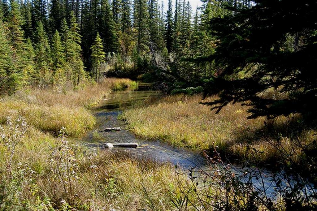 518, 30 Discovery Ridge Close Southwest, Calgary – Residential Apartment Listing Photo 19