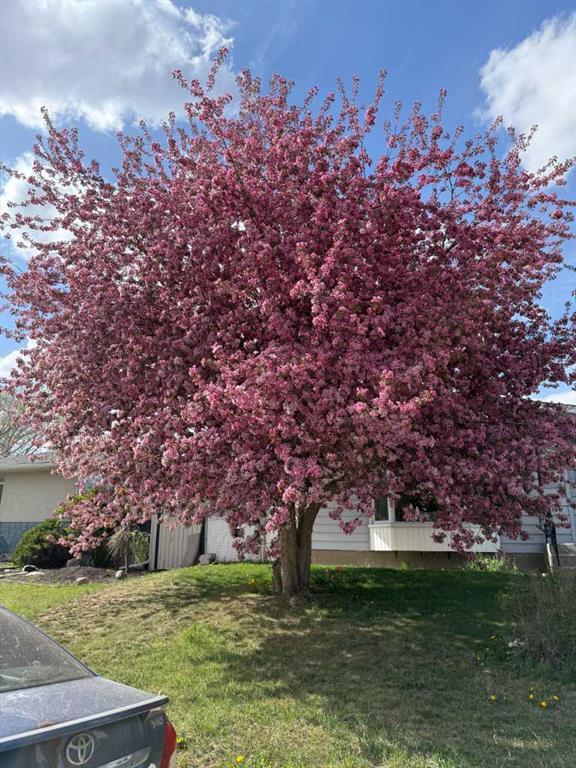 840 Archwood Road Southeast, Calgary – Residential Detached Listing Photo 48