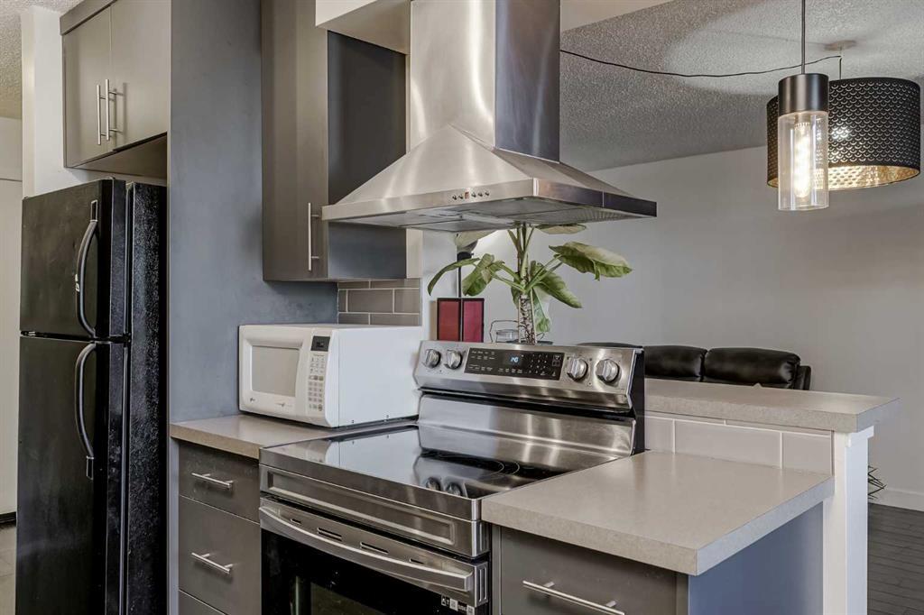 105, 4455c Greenview Drive Northeast, Calgary – Residential Apartment Listing Photo 4