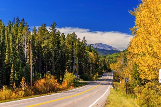 231031 Forestry Way, Bragg Creek