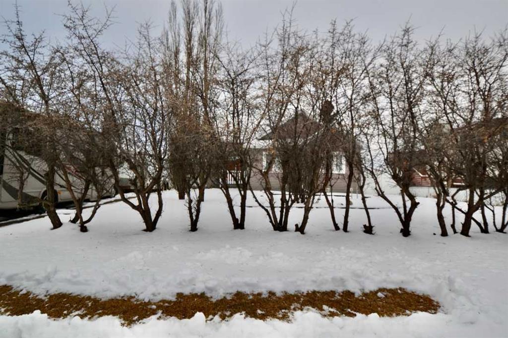 Photo of Listing #A2274113