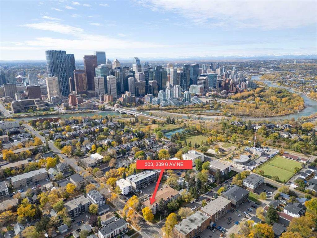 303, 239 6 Avenue Ne, Calgary