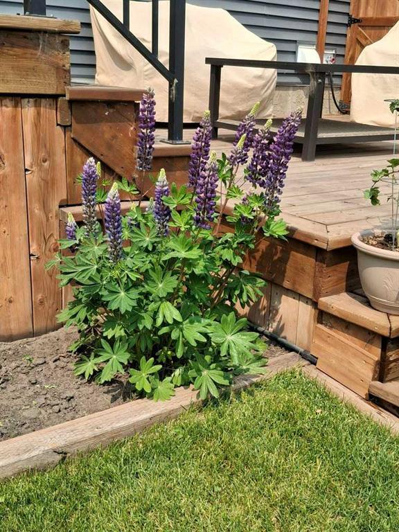 620 Edgefield Street, Strathmore – Residential Semi Detached Listing Photo 41