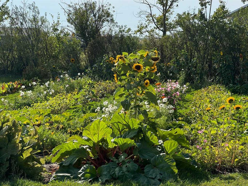 272187 Township Road 240, Rural Rocky View County – Residential Detached Listing Photo 43