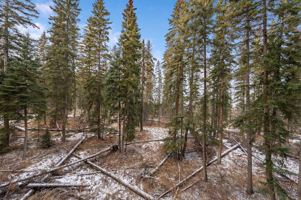 Photo of Listing #A2279288