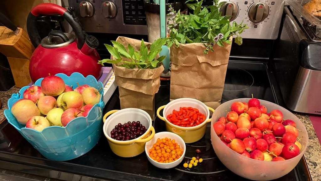 250043 Range Road 255, Rural Wheatland County – Residential Detached Listing Photo 50