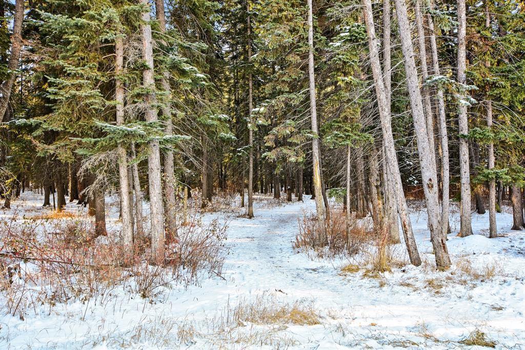 202, 10 Discovery Ridge Close Southwest, Calgary – Residential Apartment Listing Photo 20