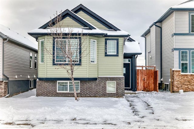 226 Saddlebrook Circle Ne, Calgary