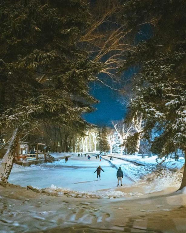 4605 80 Street Northwest, Calgary – Residential Semi Detached Listing Photo 50