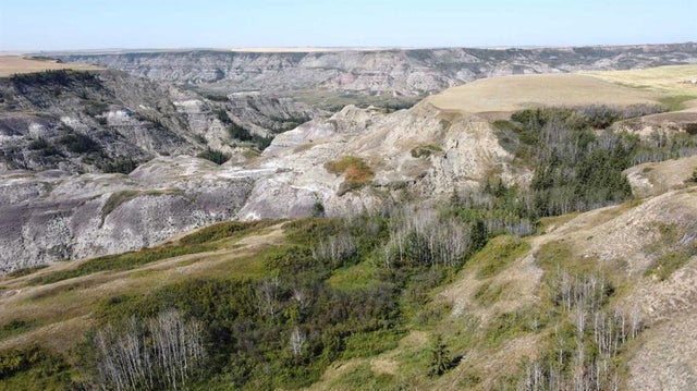 340044 Range Road 215, Rural Starland County